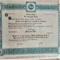 Ingrandire l'immagine: certificate 1