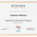 Ingrandire l'immagine: certificate 1