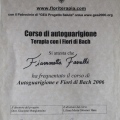 Ingrandire l'immagine: certificate 5