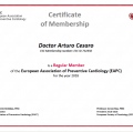 Ingrandire l'immagine: certificate 4