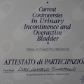 Ingrandire l'immagine: certificate 28