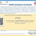 Ingrandire l'immagine: certificate 5