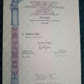 Ingrandire l'immagine: certificate 1