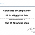 Ingrandire l'immagine: certificate 1
