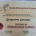 Ingrandire l'immagine: certificate 3