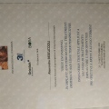 Ingrandire l'immagine: certificate 6