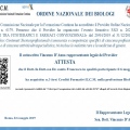 Ingrandire l'immagine: certificate 1