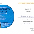 Ingrandire l'immagine: certificate 5