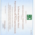Ingrandire l'immagine: certificate 11