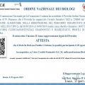 Ingrandire l'immagine: certificate 3