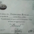 Ingrandire l'immagine: certificate 2