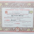 Ingrandire l'immagine: certificate 1