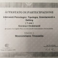 Ingrandire l'immagine: certificate 13