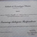 Ingrandire l'immagine: certificate 3