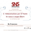 Ingrandire l'immagine: certificate 10