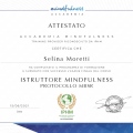 Ingrandire l'immagine: certificate 5