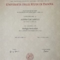Ingrandire l'immagine: certificate 4