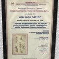 Ingrandire l'immagine: certificate 10