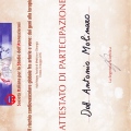Ingrandire l'immagine: certificate 9