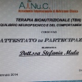 Ingrandire l'immagine: certificate 11