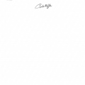 Ingrandire l'immagine: certificate 4