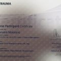 Ingrandire l'immagine: certificate 5