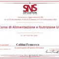 Ingrandire l'immagine: certificate 1