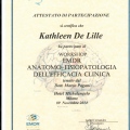 Ingrandire l'immagine: certificate 3
