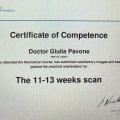 Ingrandire l'immagine: certificate 1