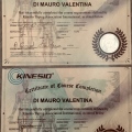 Ingrandire l'immagine: certificate 4