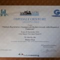 Ingrandire l'immagine: certificate 7
