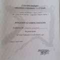 Ingrandire l'immagine: certificate 15