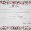 Ingrandire l'immagine: certificate 1