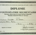Ingrandire l'immagine: certificate 9
