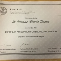 Ingrandire l'immagine: certificate 1