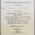 Ingrandire l'immagine: certificate 1