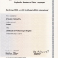 Ingrandire l'immagine: certificate 3
