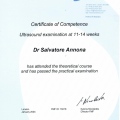 Ingrandire l'immagine: certificate 2