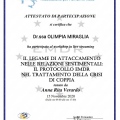 Ingrandire l'immagine: certificate 5
