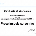 Ingrandire l'immagine: certificate 2