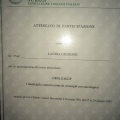 Ingrandire l'immagine: certificate 31