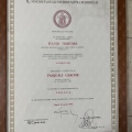 Ingrandire l'immagine: certificate 4