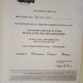 Ingrandire l'immagine: certificate 7