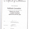 Ingrandire l'immagine: certificate 9