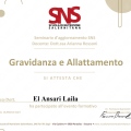 Ingrandire l'immagine: certificate 19