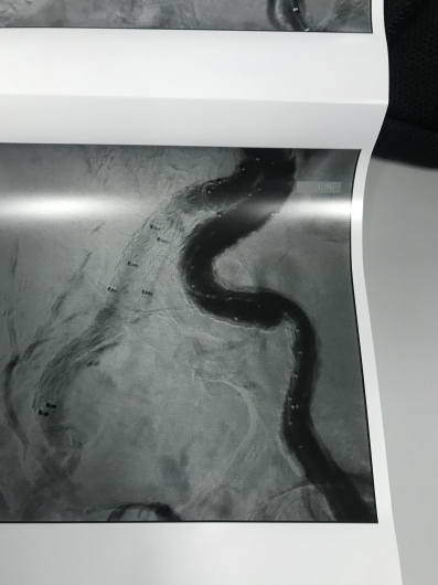 Mario De Laurentis-6