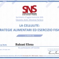 Ingrandire l'immagine: certificate 14