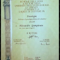 Ingrandire l'immagine: certificate 3