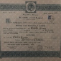 Ingrandire l'immagine: certificate 1