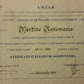 Ingrandire l'immagine: certificate 7